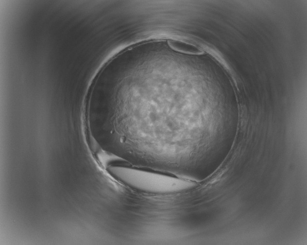 X0000072521048200607141153