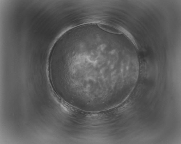 X0000072521051200607141153