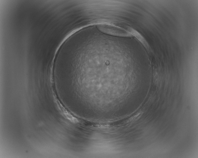 X0000072521052200607141153