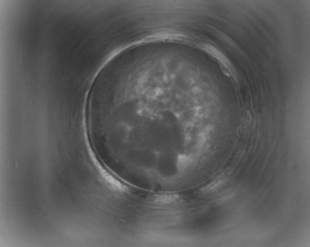 X0000072521055200607141153