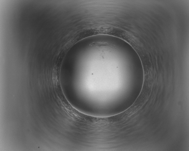 X0000072521058200607141152