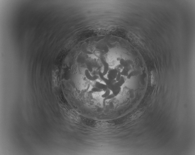 X0000072521059200607141152