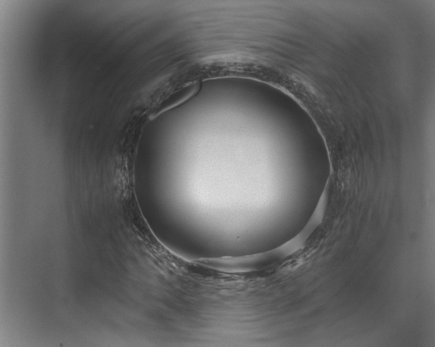 X0000072521062200607141152