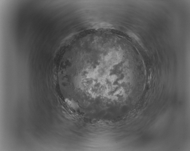 X0000072521063200607141152