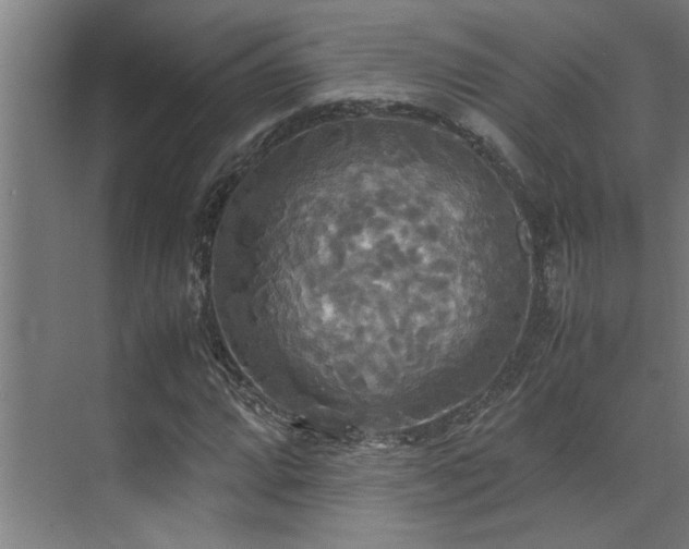 X0000072521064200607141152