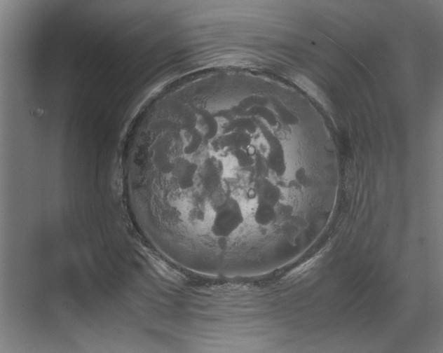 X0000072521067200607141152