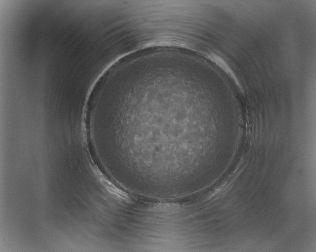 X0000072521068200607141152