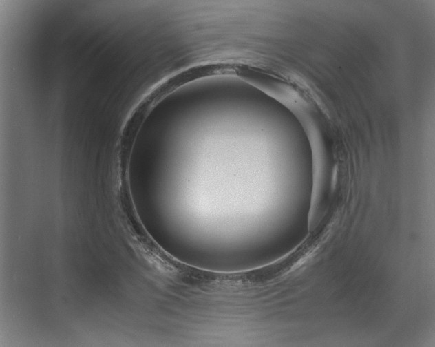 X0000072521069200607141152