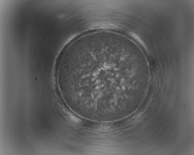 X0000072521071200607141152