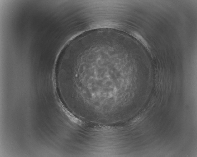 X0000072521072200607141152