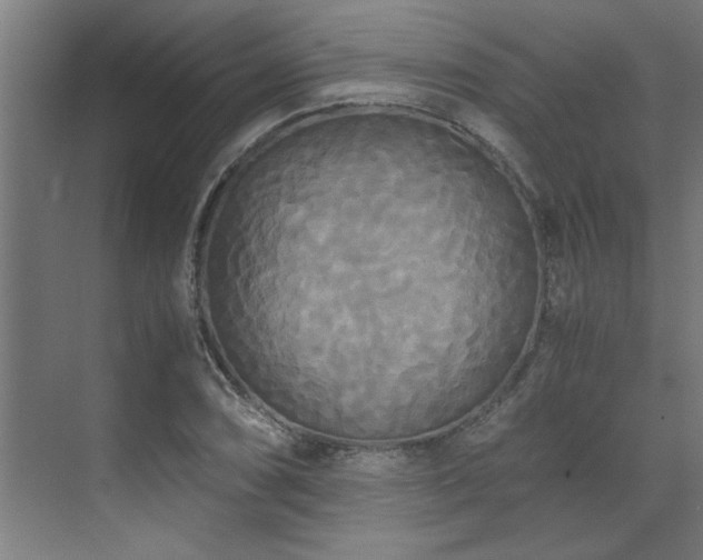 X0000072521074200607141152