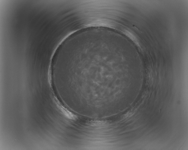 X0000072521076200607141152