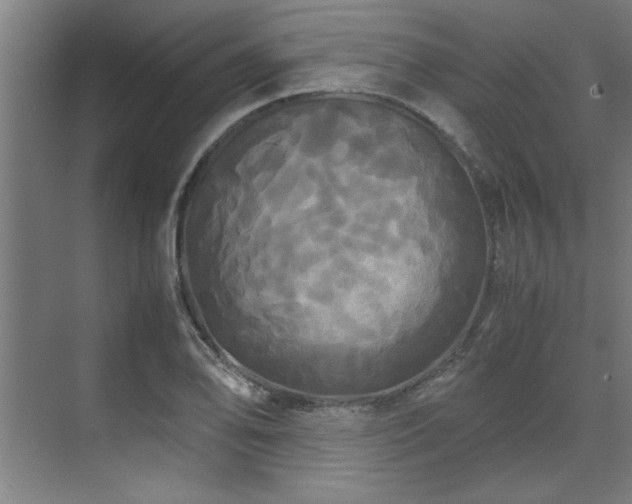 X0000072521078200607141152