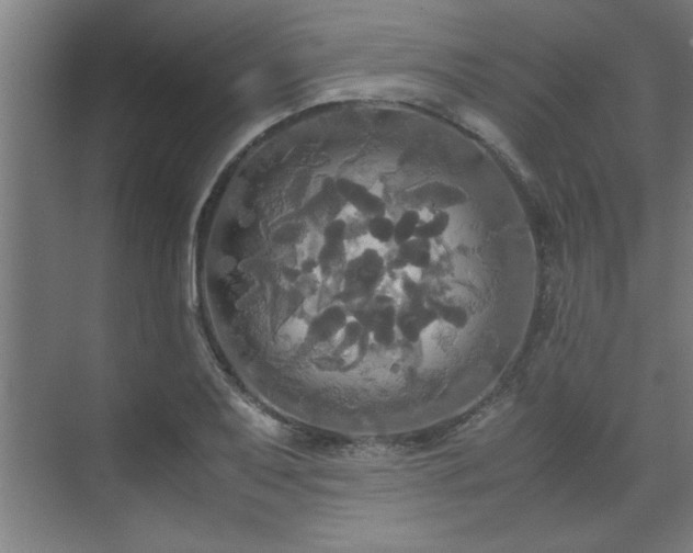 X0000072521079200607141152