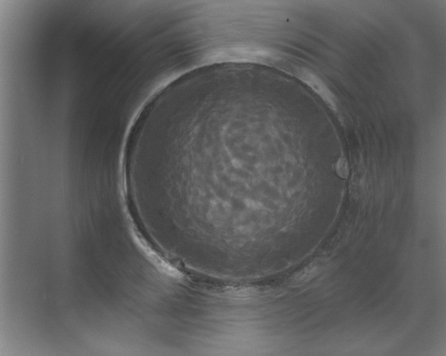 X0000072521080200607141152