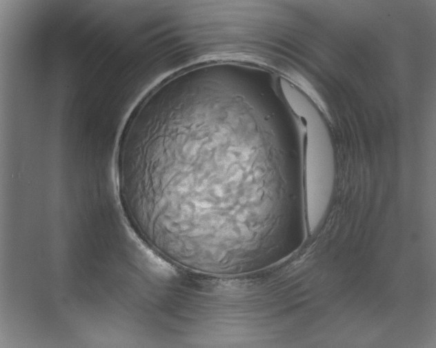 X0000072521084200607141152