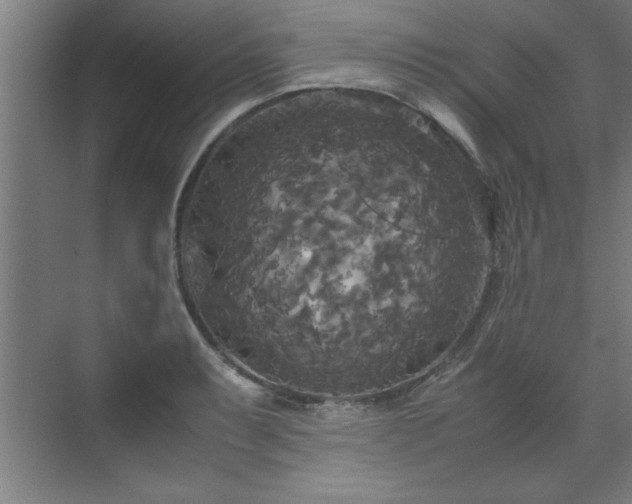 X0000072521087200607141151