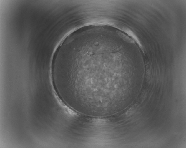 X0000072521088200607141151