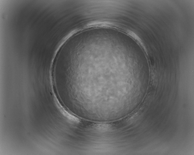 X0000072521090200607141151