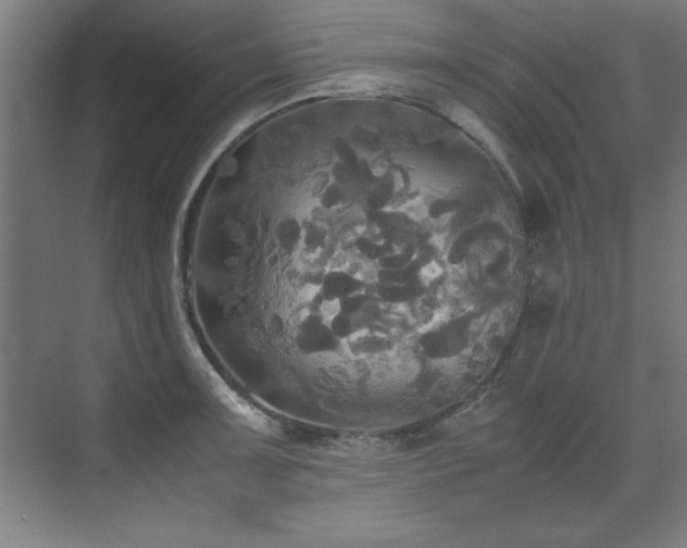 X0000072521091200607141151