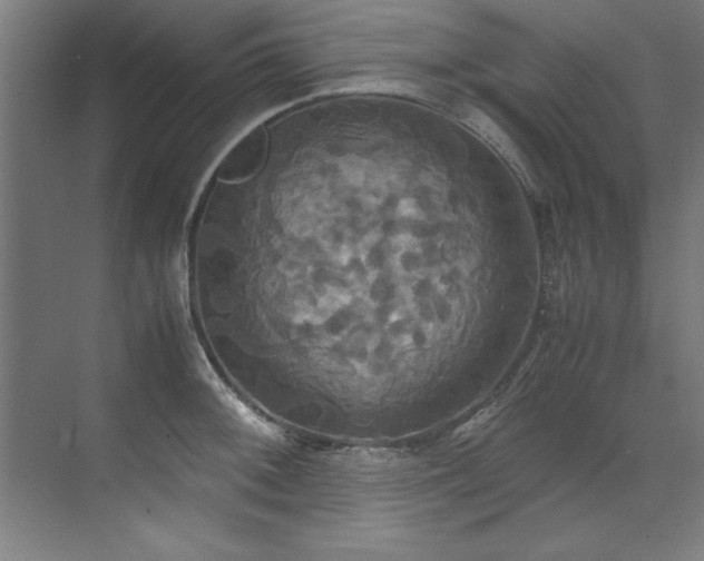 X0000072521092200607141151