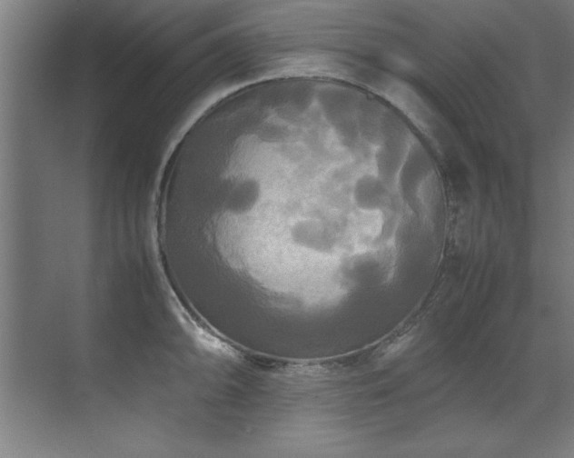 X0000072521094200607141151