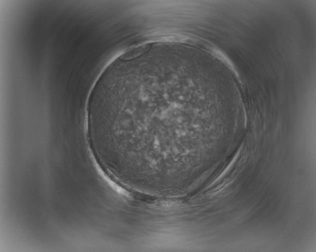 X0000072521095200607141151