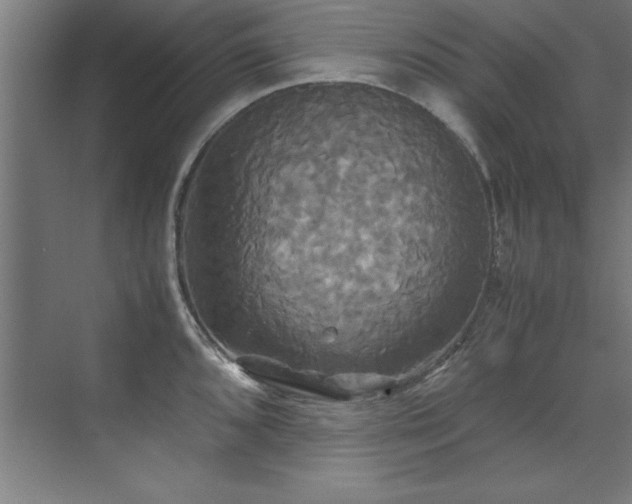 X0000072521096200607141151