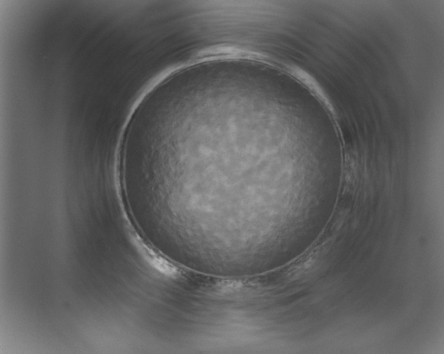 X0000072521098200607141151