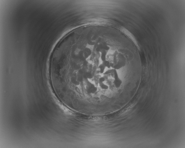 X0000072521099200607141151