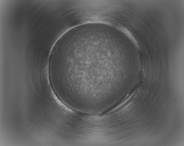 X0000072521100200607141151