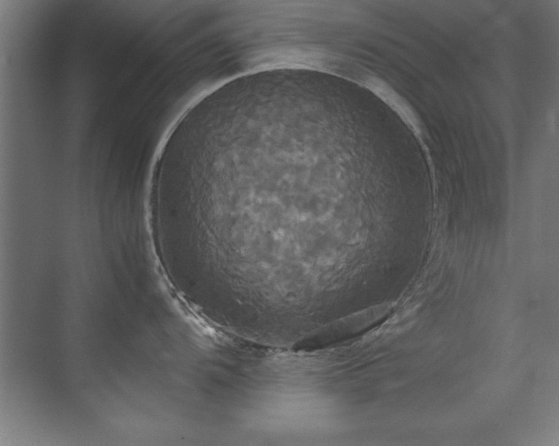 X0000072521104200607141151