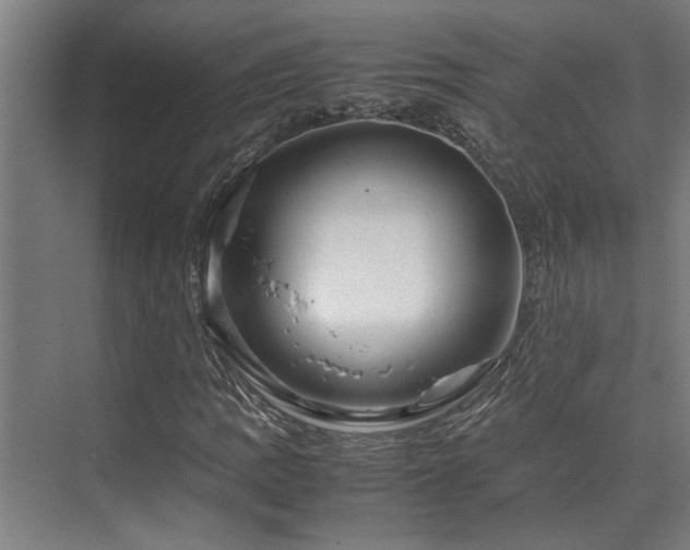 X0000072521109200607141150