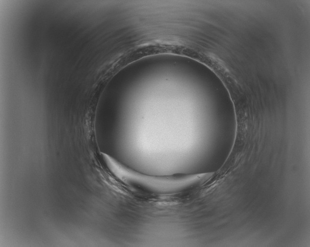 X0000072521110200607141150