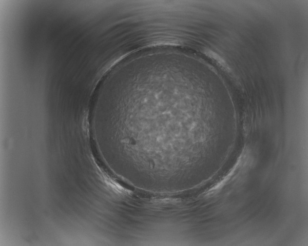 X0000072521113200607141151