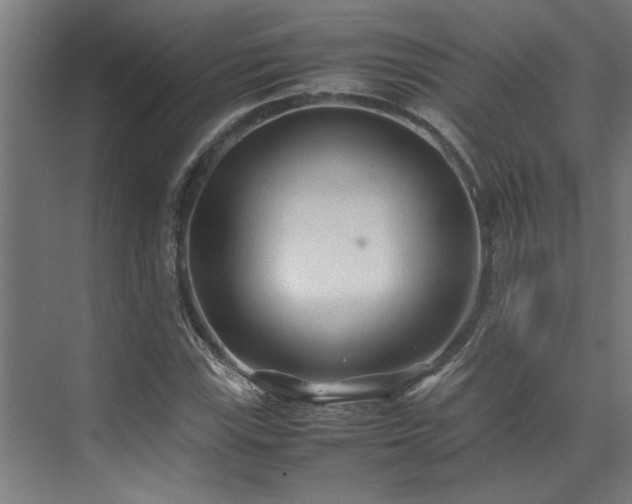 X0000072521115200607141151