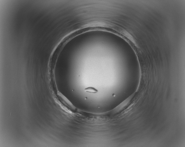 X0000072521116200607141151