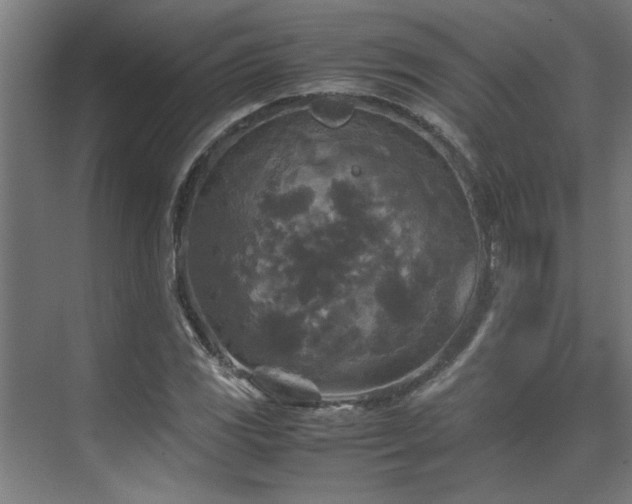 X0000072521117200607141151