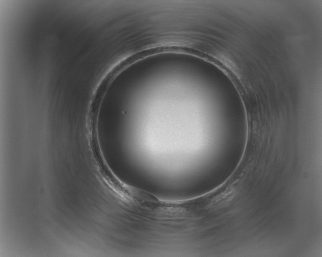 X0000072521119200607141151