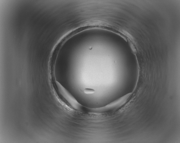 X0000072521120200607141151