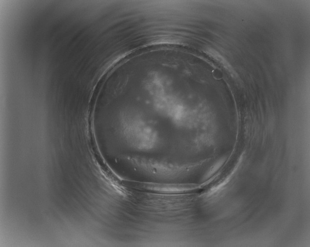 X0000072521121200607141151