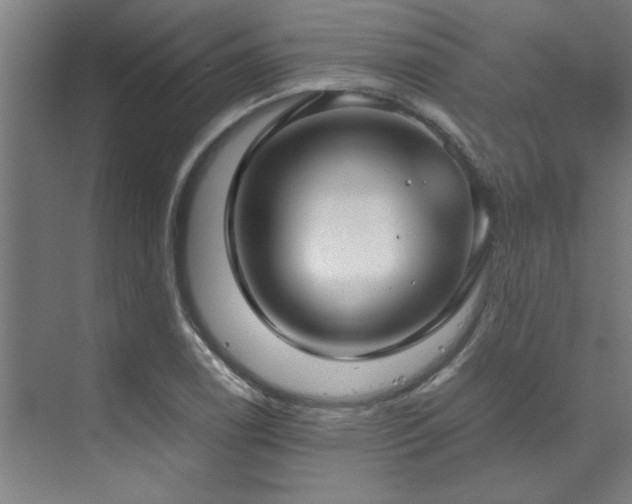 X0000072521122200607141151