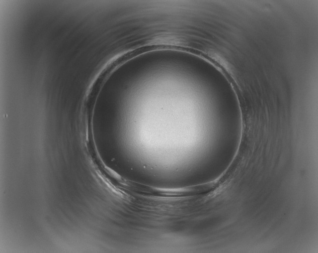 X0000072521123200607141151