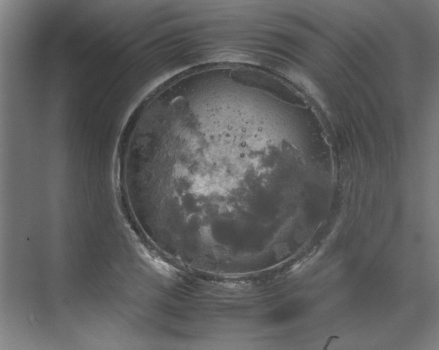 X0000072521125200607141151