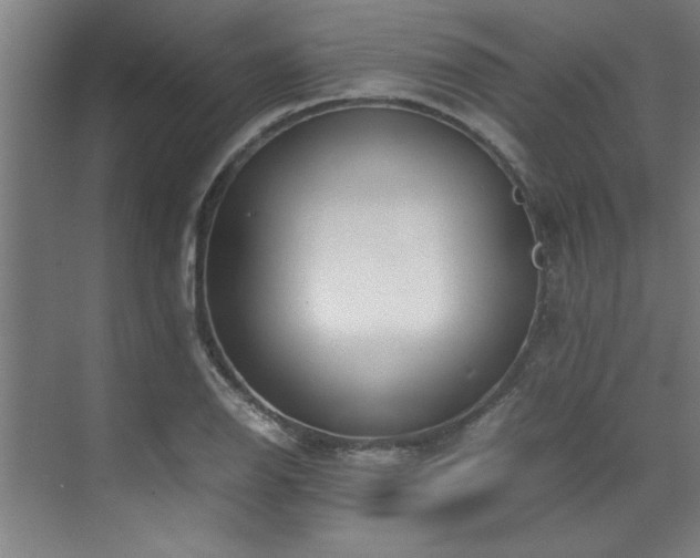 X0000072521126200607141151