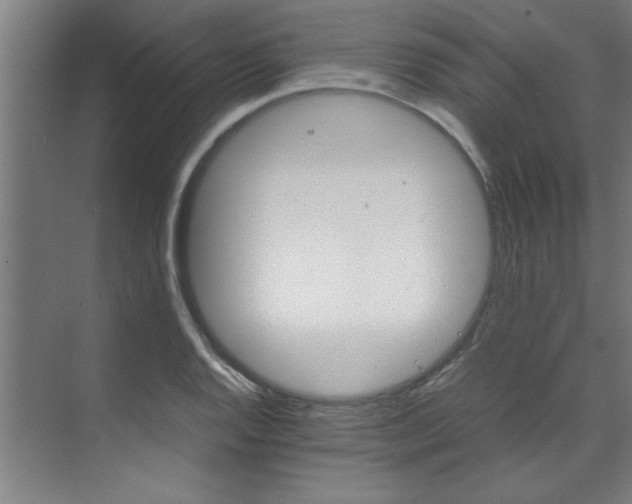 X0000072521128200607141151