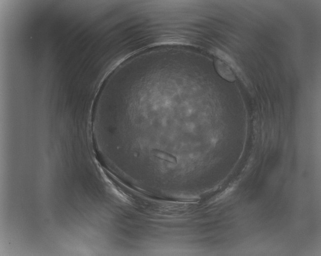 X0000072521129200607141151