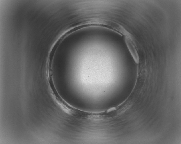 X0000072521132200607141151