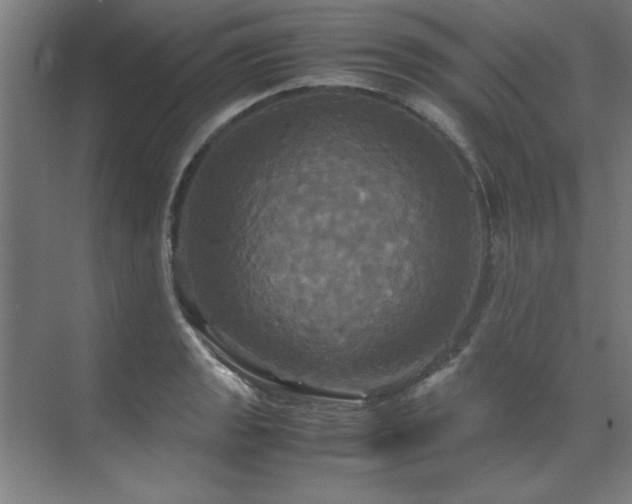 X0000072521133200607141151