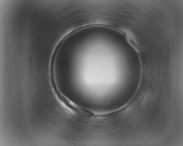 X0000072521135200607141151